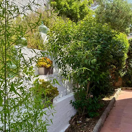 Dom wakacyjny Mediterranea Boutique House