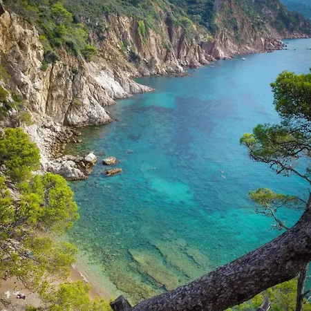 Holiday home Mediterranea Tossa Tossa de Mar