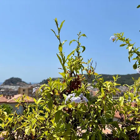 Mediterranea Tossa Tossa de Mar