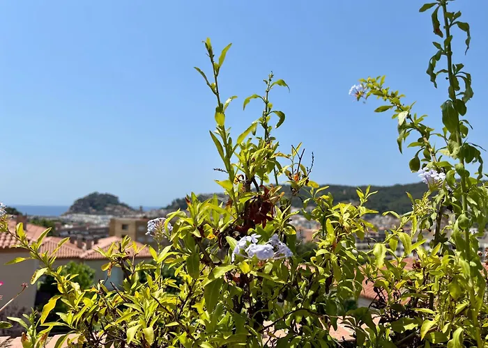 Mediterranea Tossa Tossa de Mar